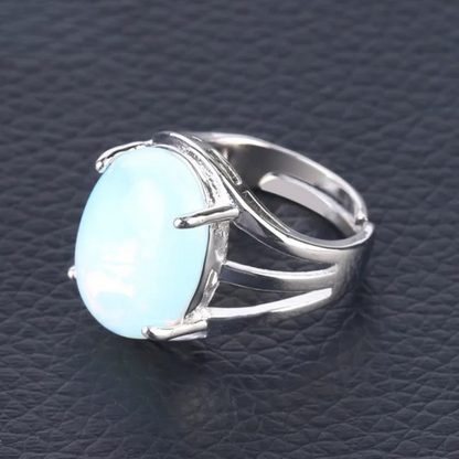 EXQUISITE VINTAGE RING (ADJUSTABLE)